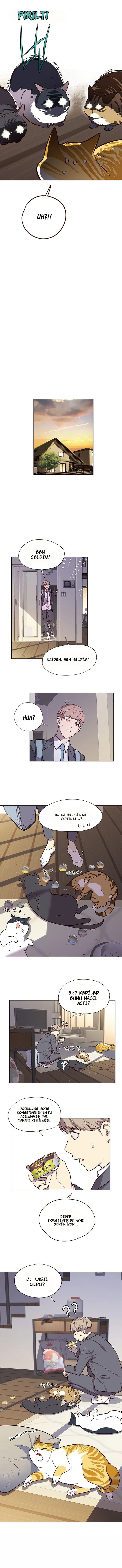 Eleceed Bölüm 6 — sayfa 6